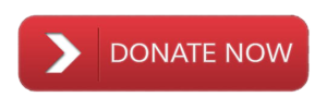 donate button