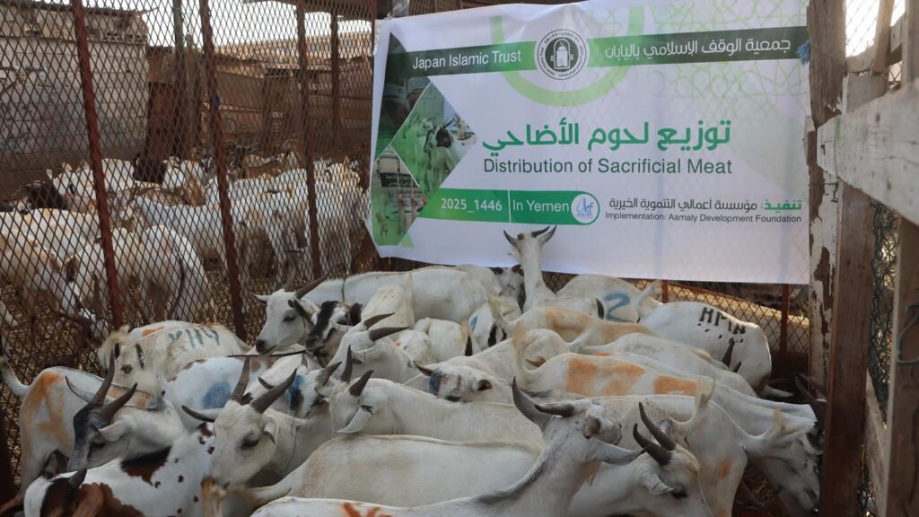 Qurbani Project in Yemen – 2025.jpg1