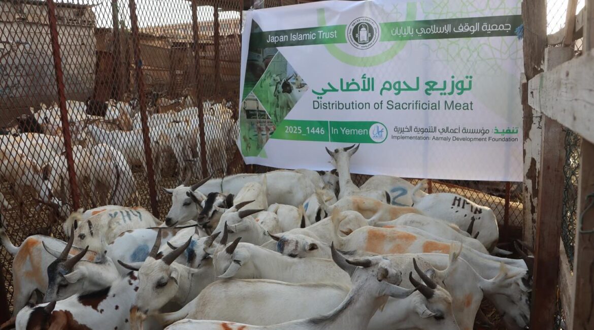 Qurbani Project in Yemen – 2025.jpg1